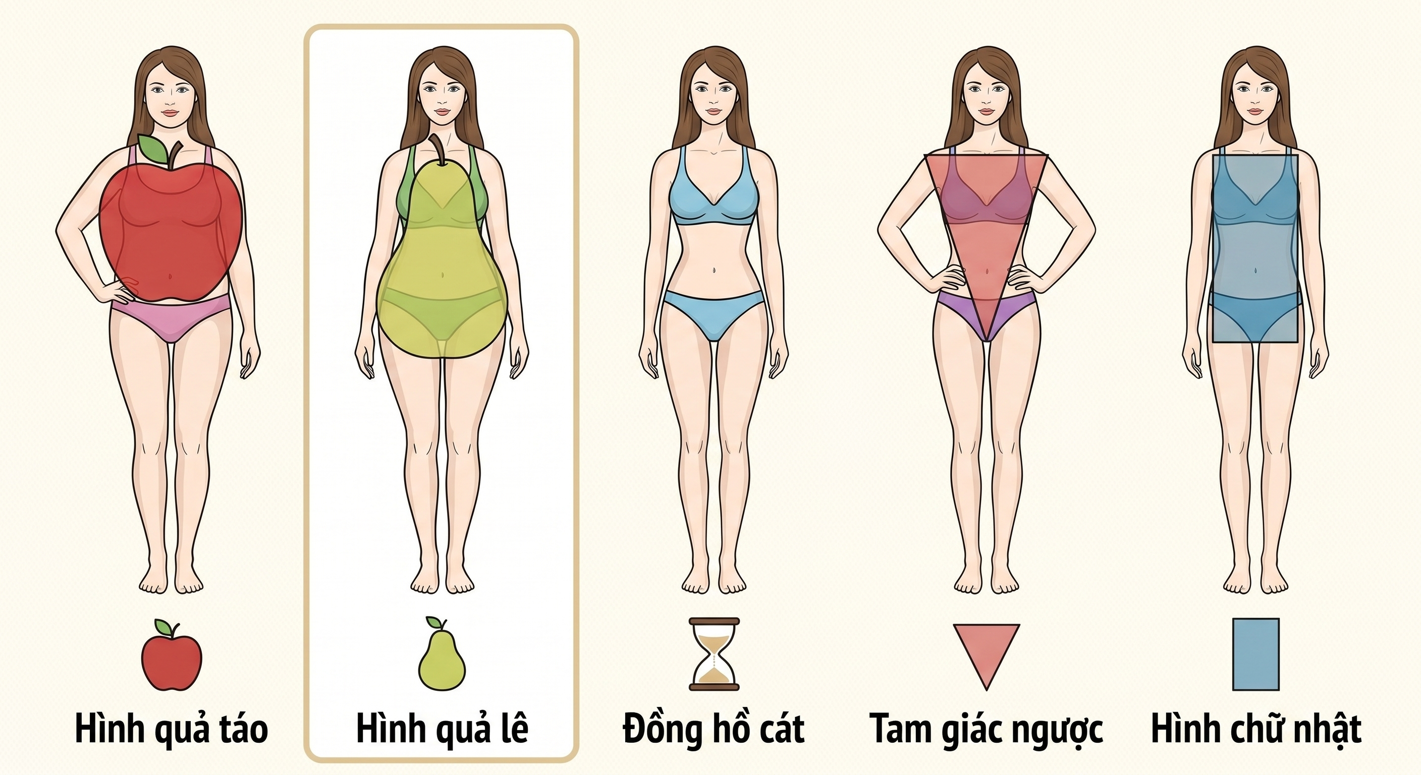 Minh họa đặc điểm tỷ lệ cơ thể dáng người quả lê